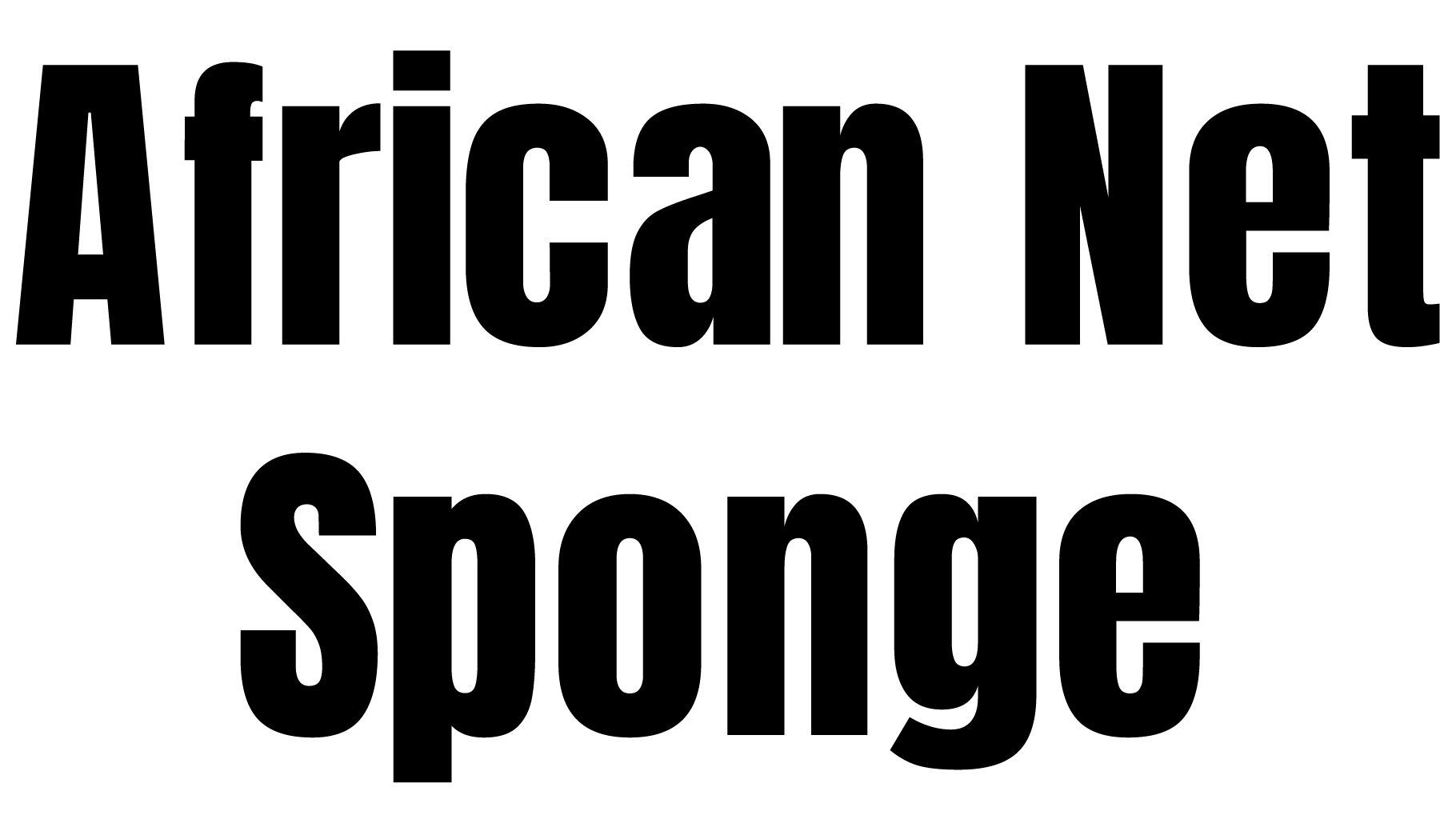 AfricanNetSponge